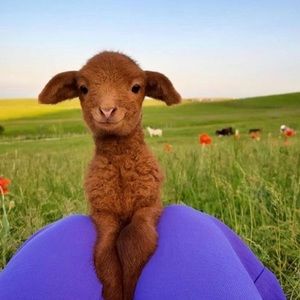 Meet your Posher, Malaina